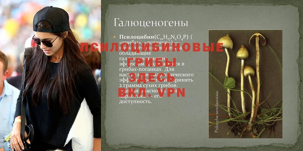 Альфа ПВП Алексеевка