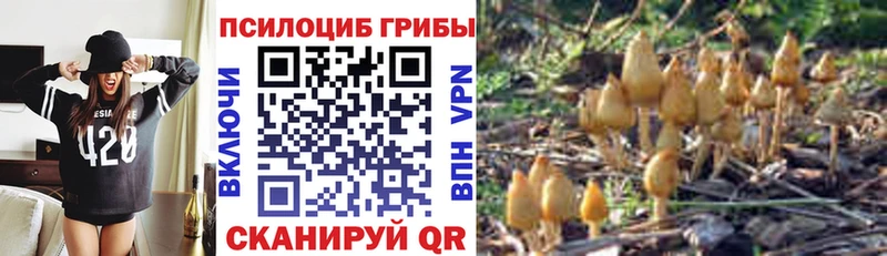 Галлюциногенные грибы ЛСД  Апатиты 
