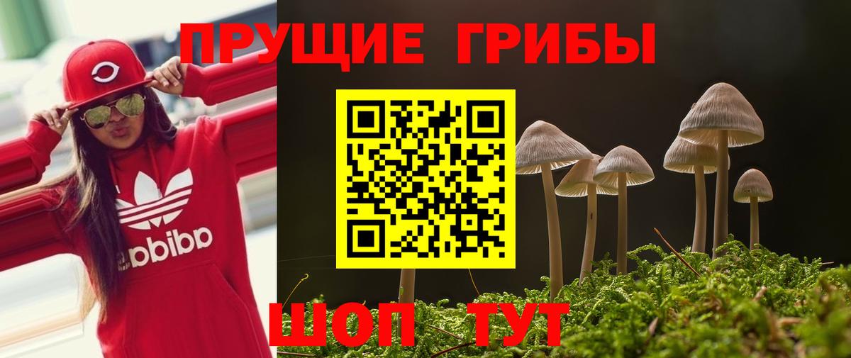 Галлюциногенные грибы GOLDEN TEACHER  Галлюциногенные грибы GOLDEN TEACHER  наркотики  Апатиты  Вход с VPN 